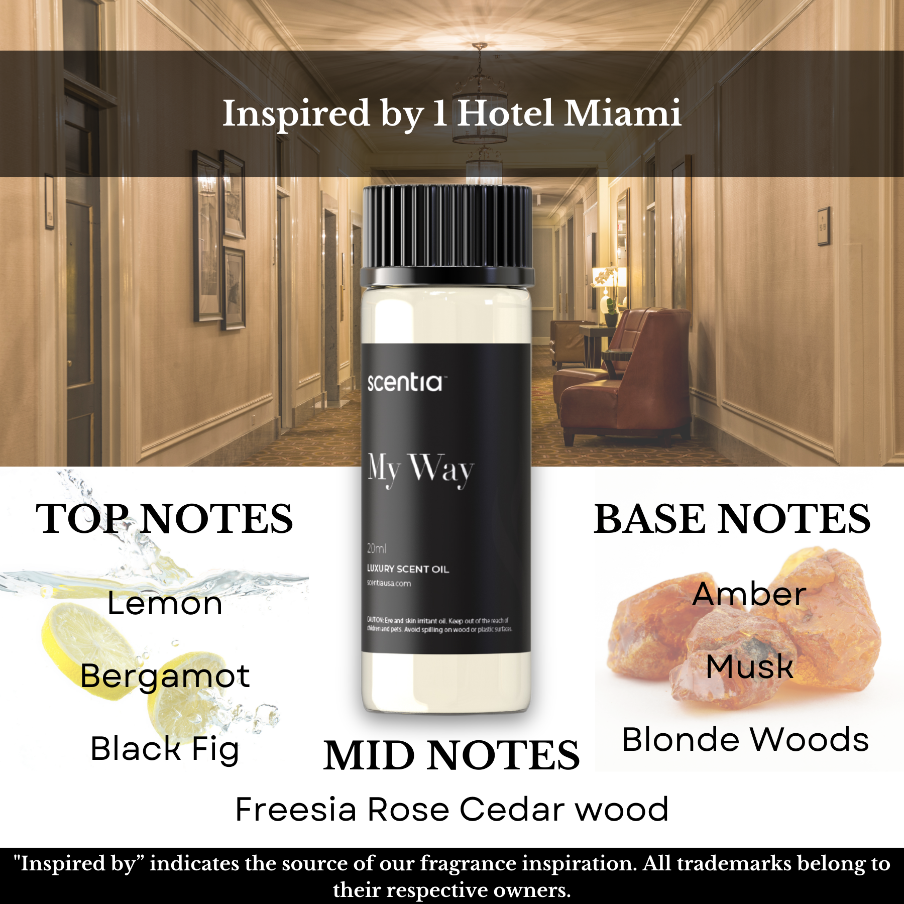 Top 5 Hotel Inspired Samples- Signature Set