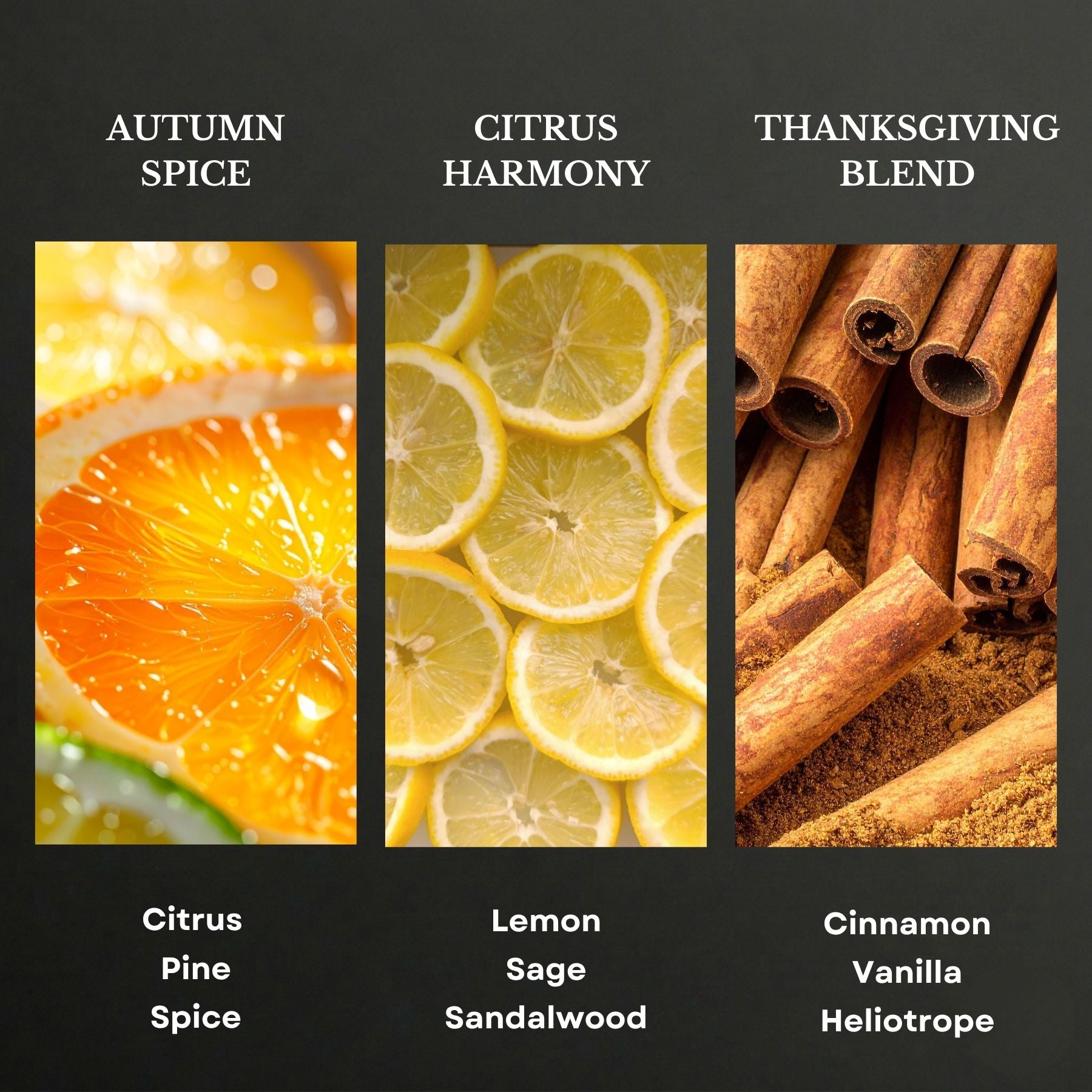 Fall Collection Scent Oil Discovery Kit 3X50ml