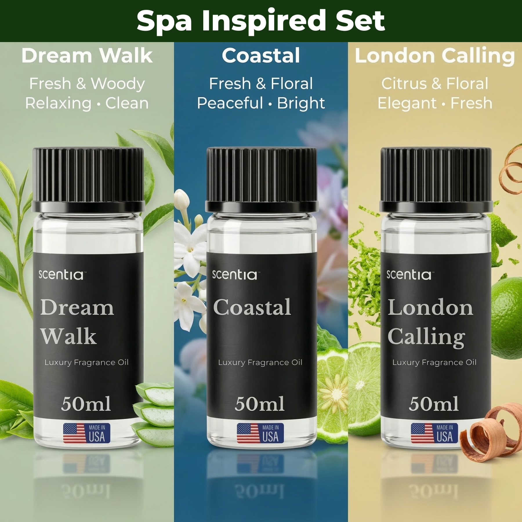 Mother's Day Special: Scentia Max Scent Diffuser