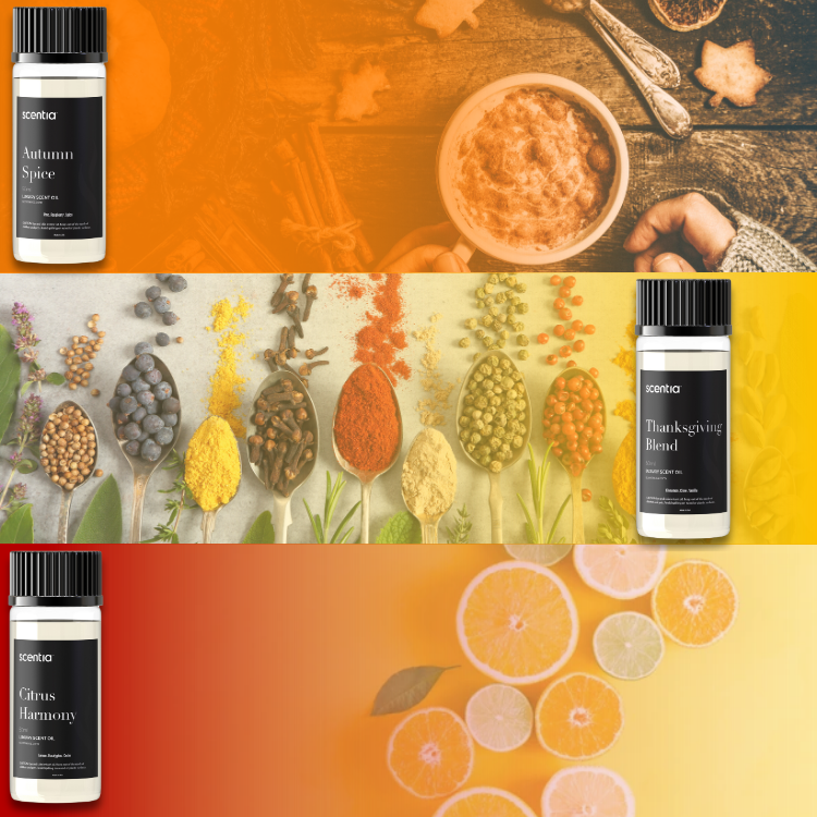 Fall Collection Scent Oil Discovery Kit 3X50ml