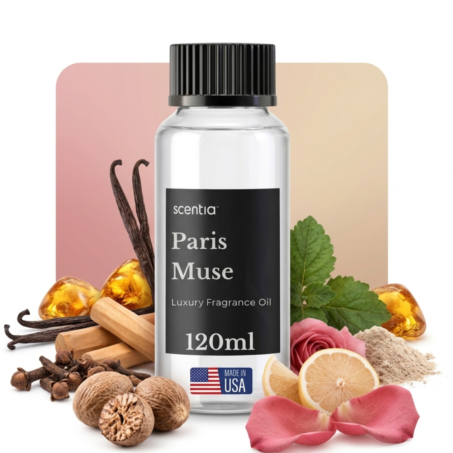 Paris Muse