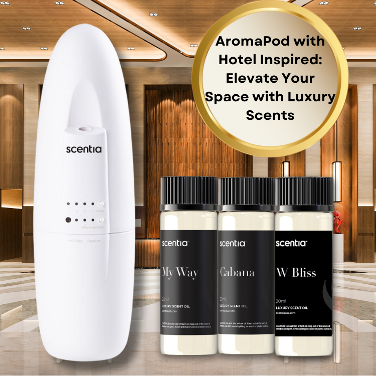 Holiday Bundle : Scentia AromaPod with Fragrance Sample Collections