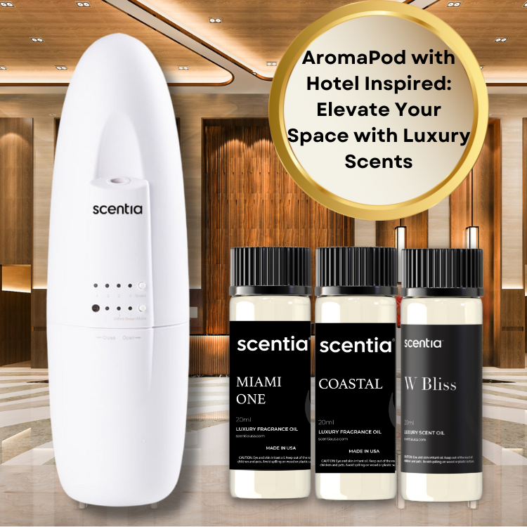 Holiday Bundle : Scentia AromaPod with Fragrance Sample Collections