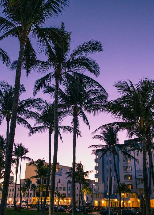 City Luxury