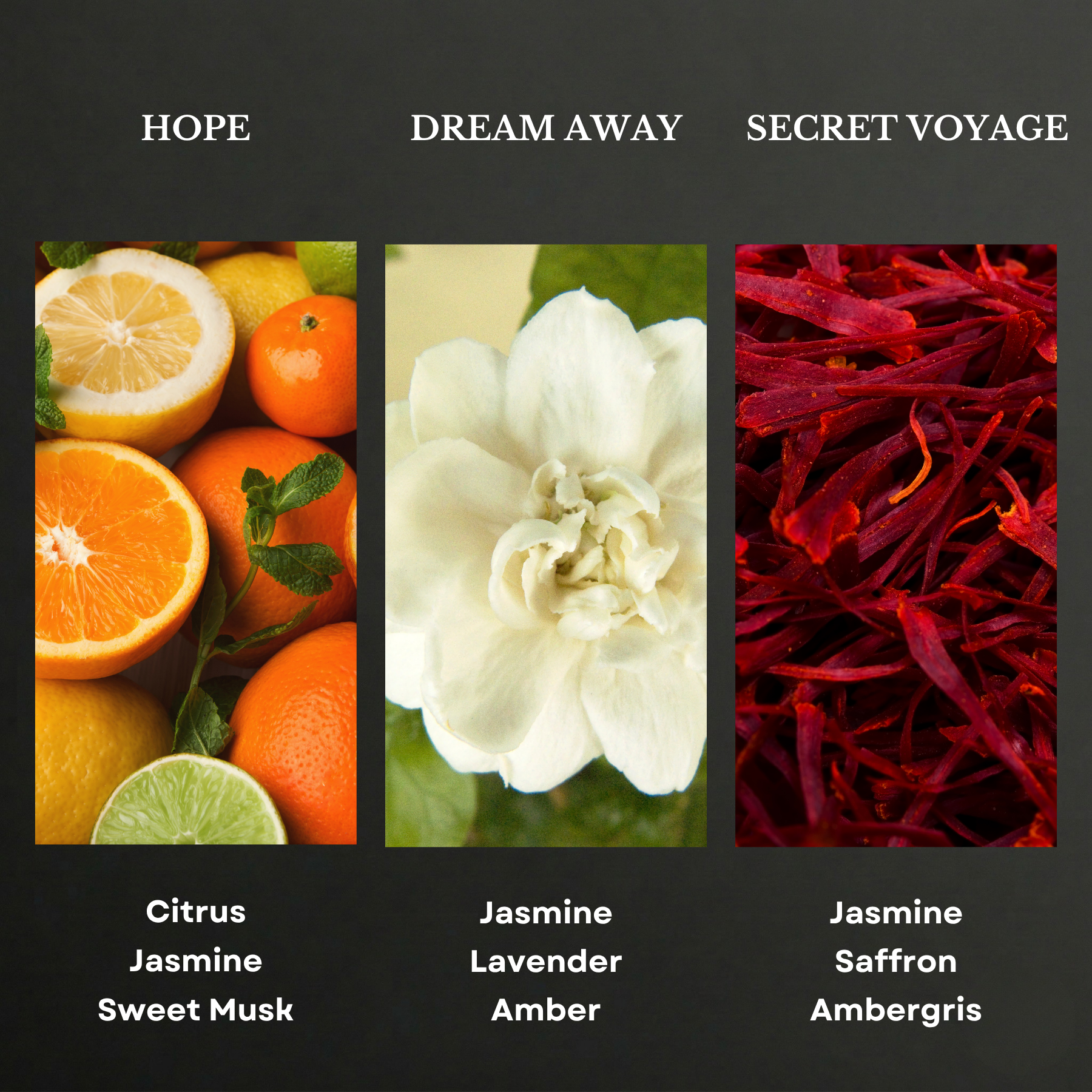 Designer Collection Scent Oil Sample Kit