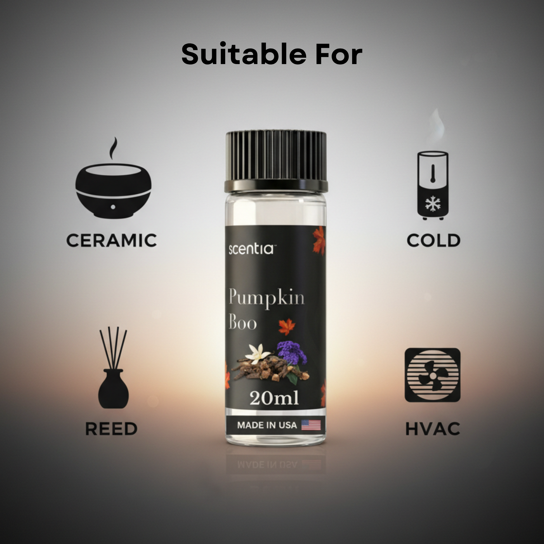 Fall Collection Scent Oil Sample Kit 3X20ml