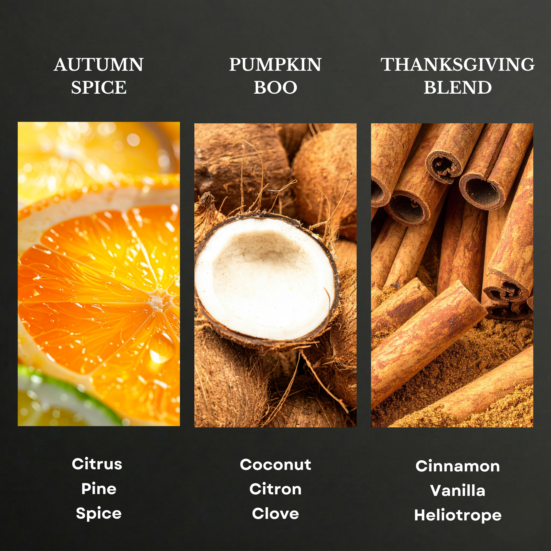 Fall Collection Scent Oil Sample Kit 3X20ml
