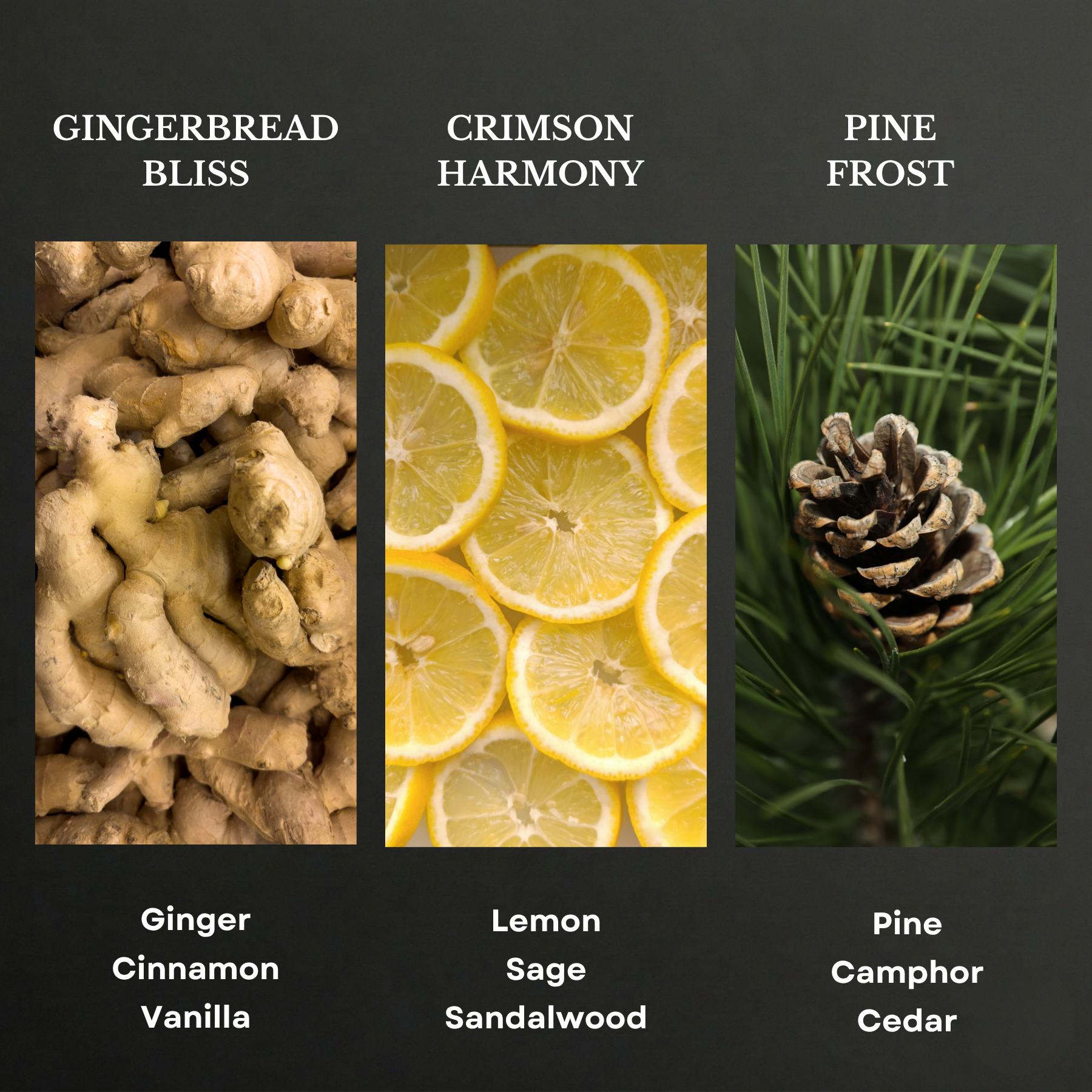Holiday Collection Scent Oil Sample Set 3X20ml