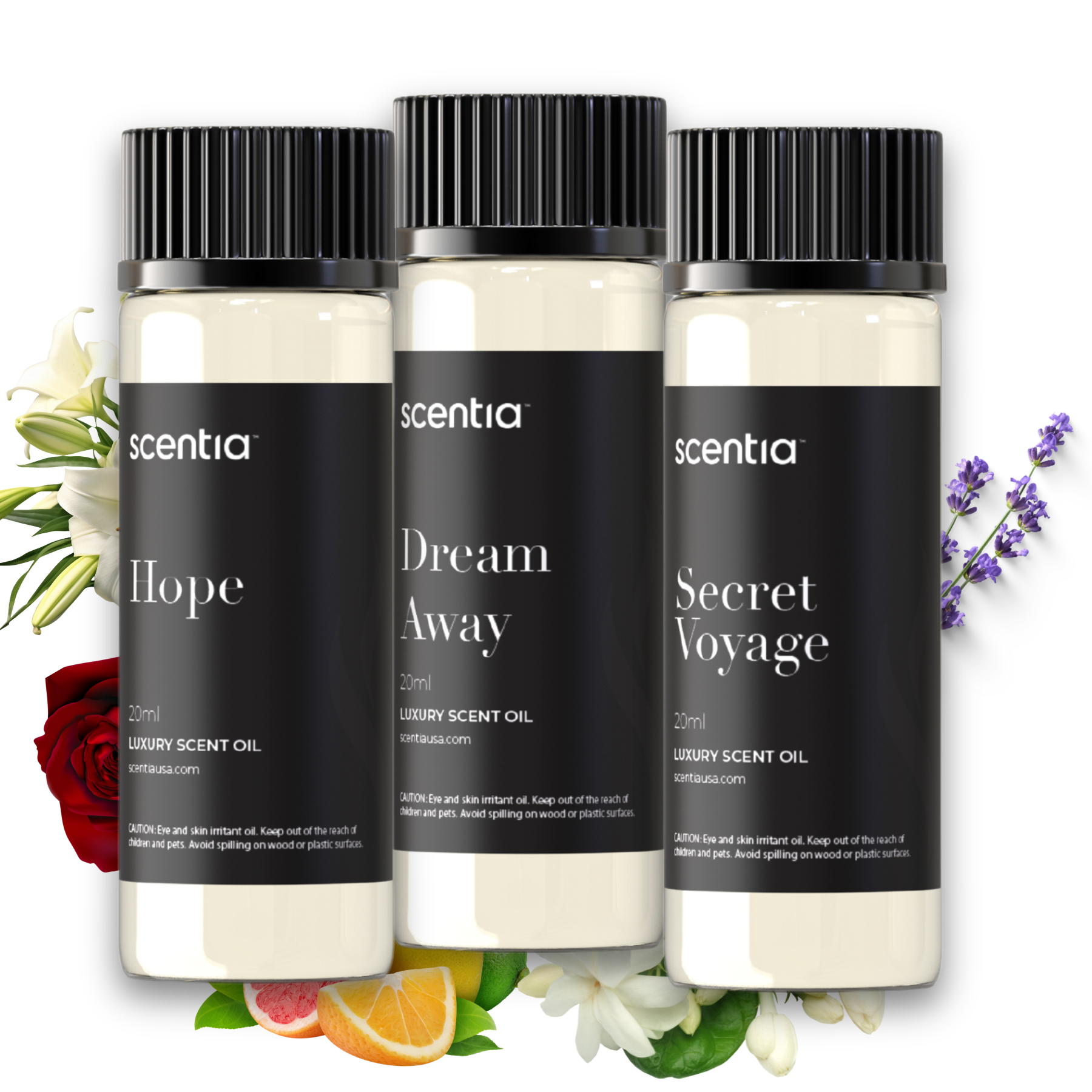 Designer Collection Scent Oil Sample Kit