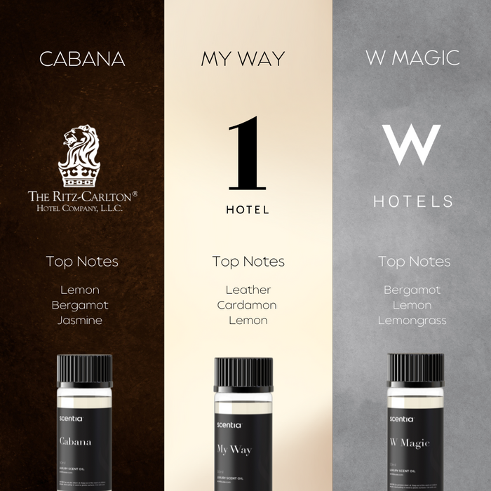 Buy Hotel Collection Discovery Kit Oils 50ML Online at low price. By