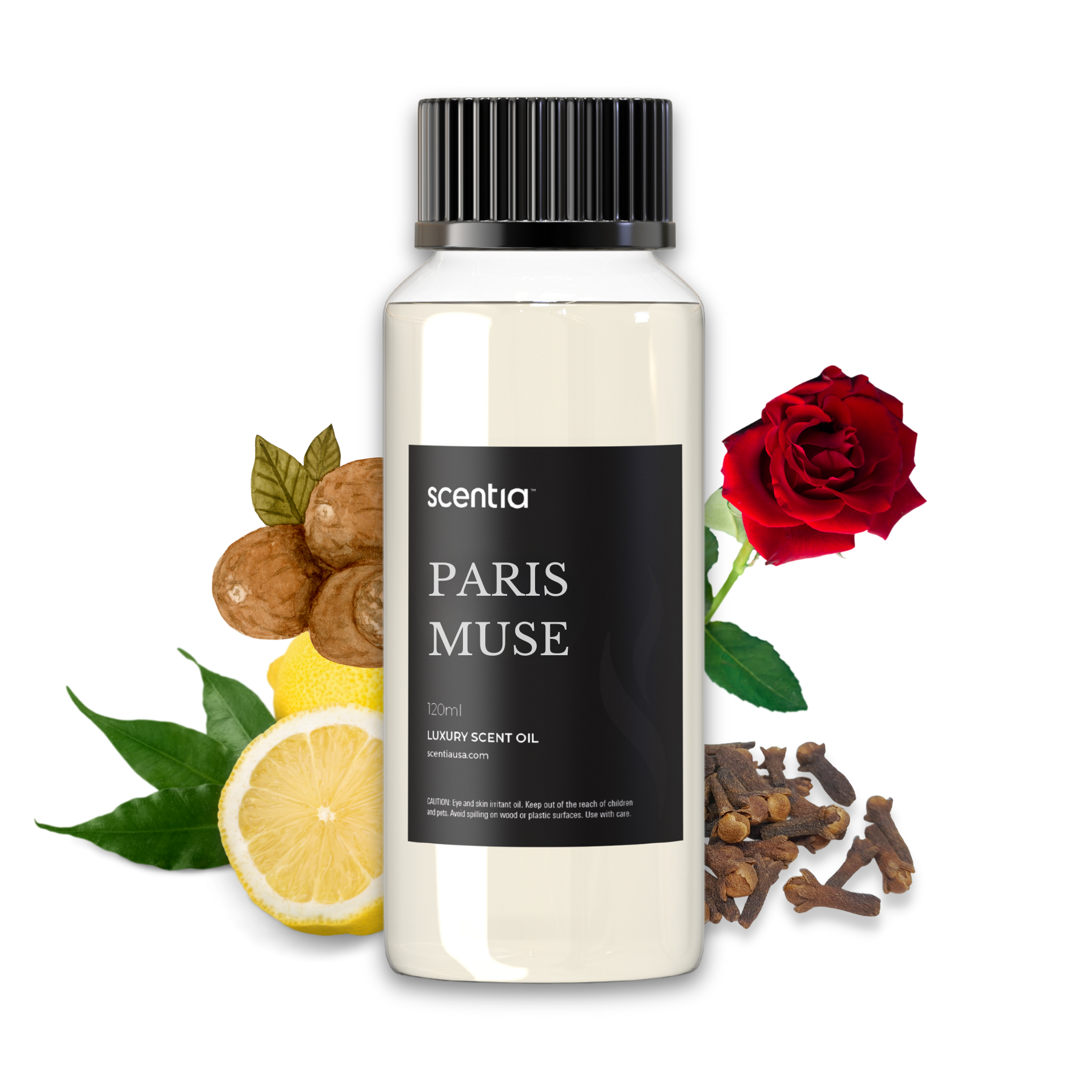 Paris Muse