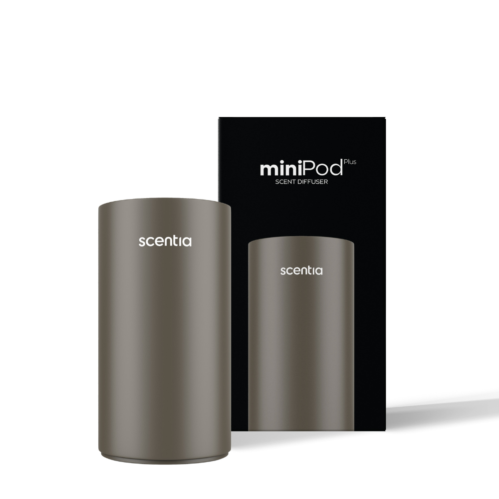 Graduation Gift Special-MiniPod with Two Oil Set