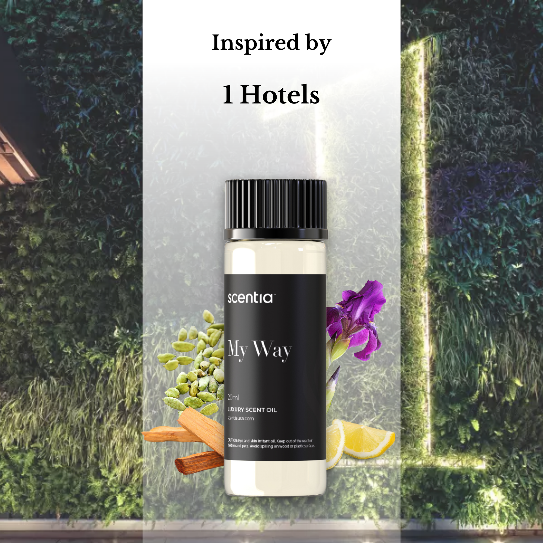 Top 3 Hotel Inspired Samples- Signature Set 1