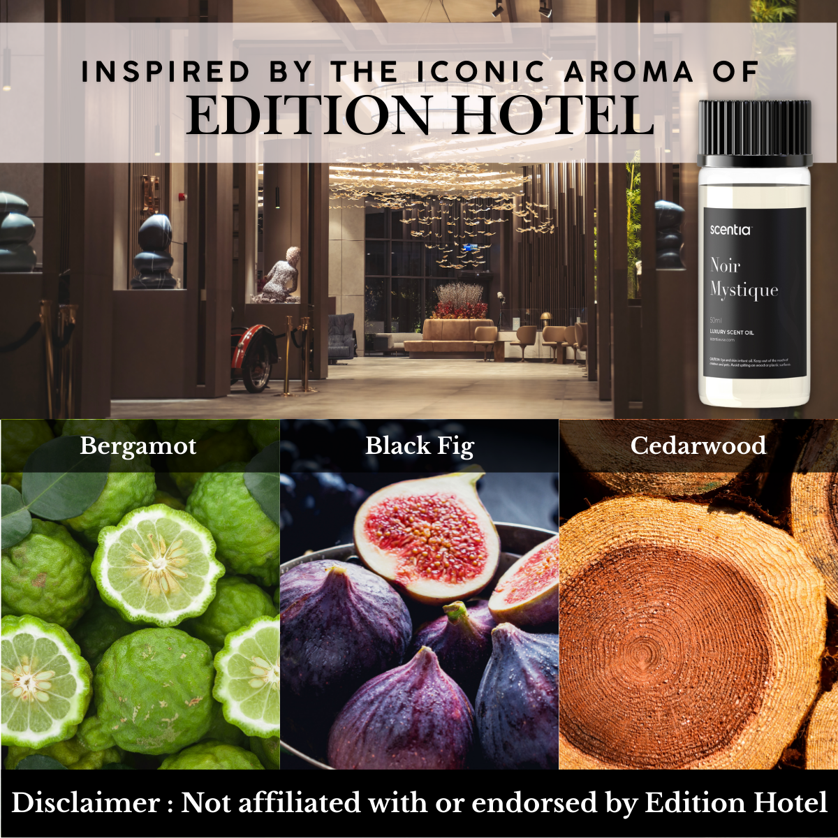 Noir Mystique Diffuser Oil | Elegant Aroma – Scentia USA