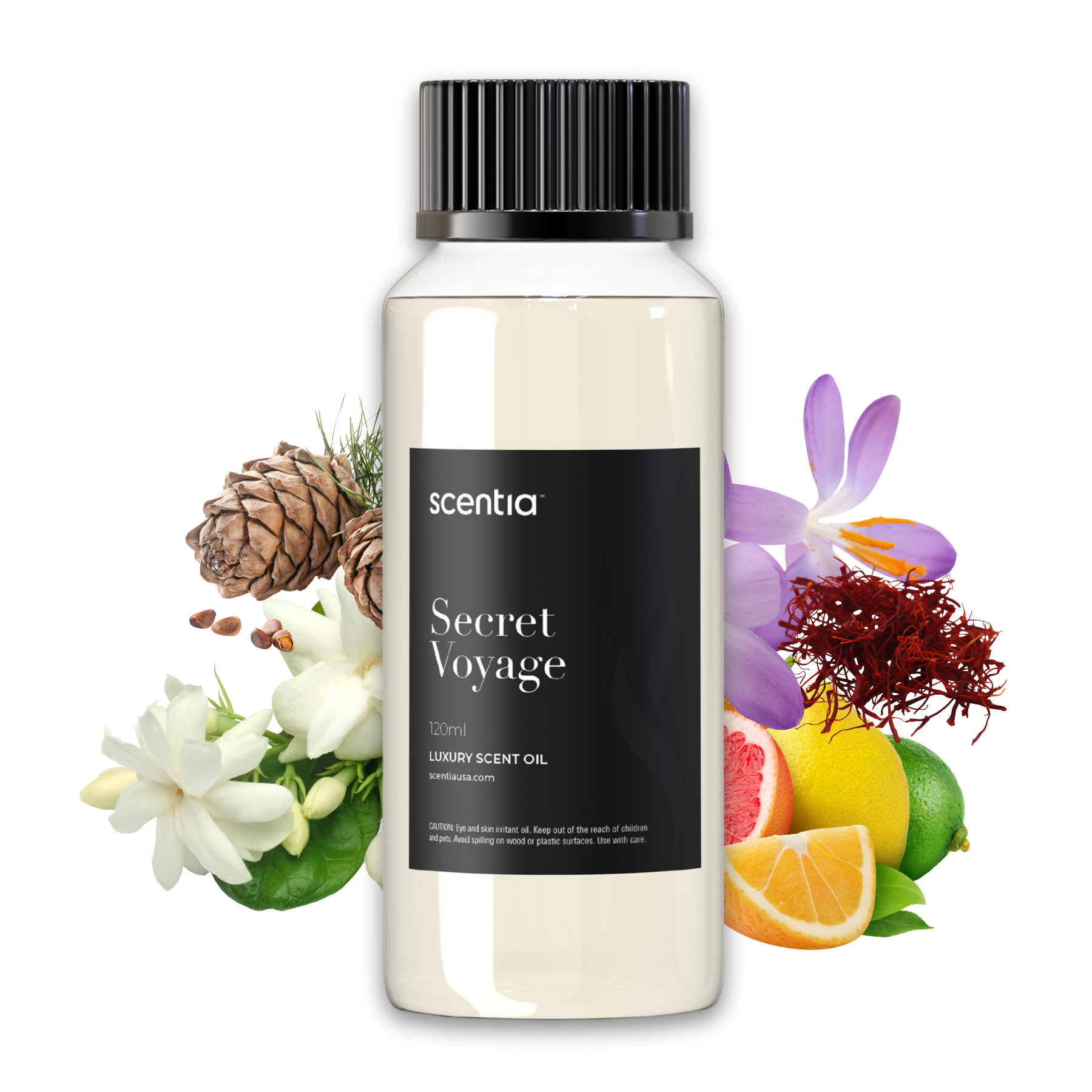 Designer Collection Scent Oil Sample Kit