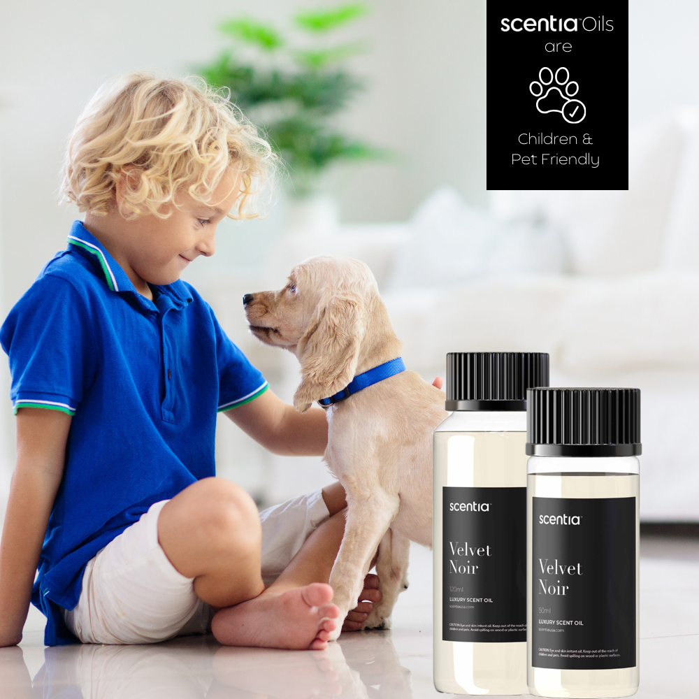 Velvet Noir Hotel Collection Children Pet Friendly