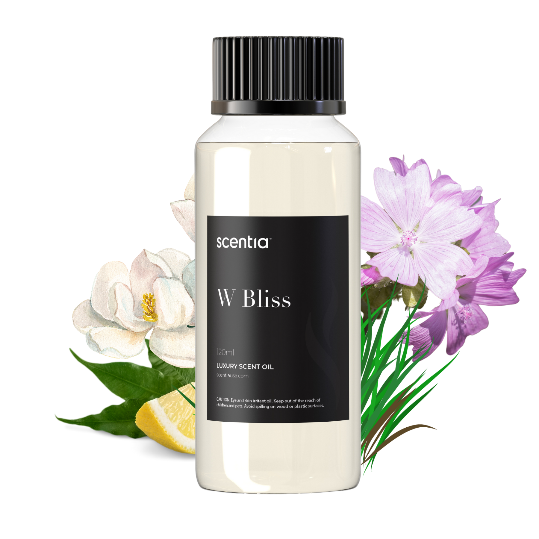 W Bliss