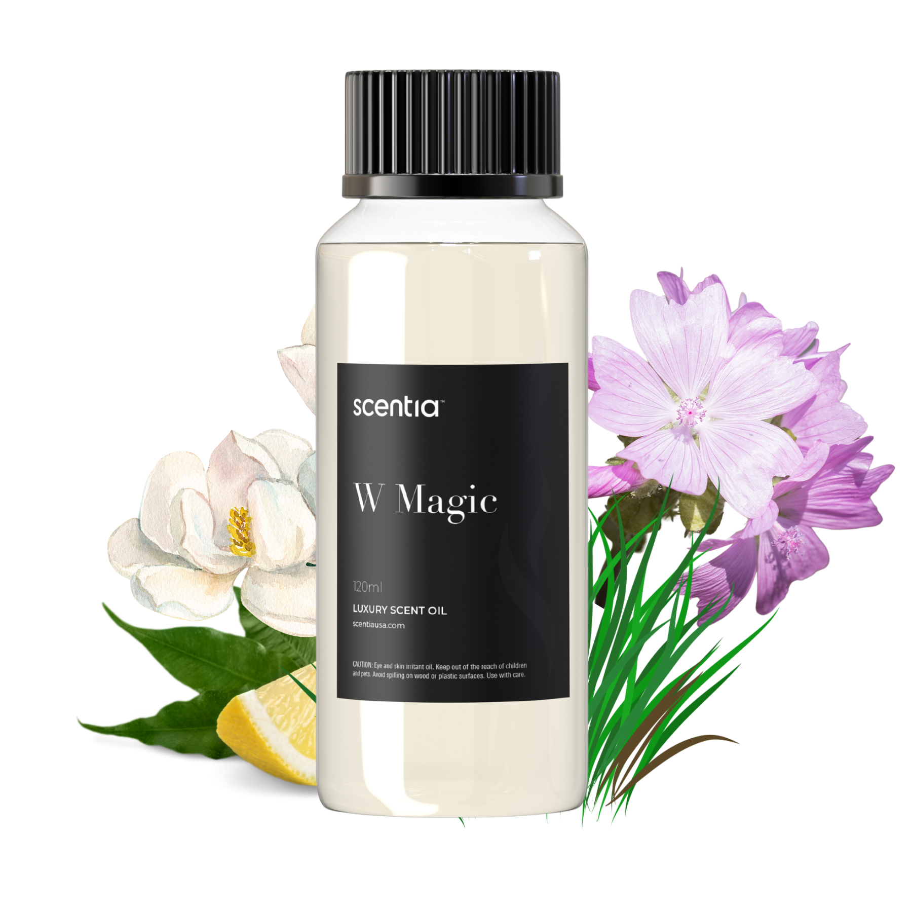 W Magic
